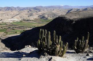 Landscape near Arequipa (1)