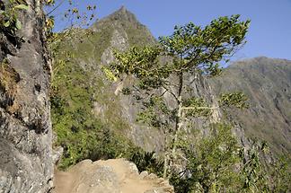 Inca Trail near Machu Picchu (2)