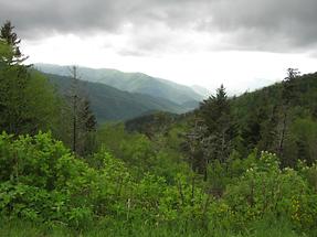 Great Smoky Mountains (2)