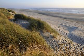 Oregon Dunes National Recreation Area - Beach (1)