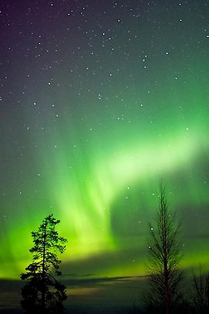 Northern lights in Rovaniemi