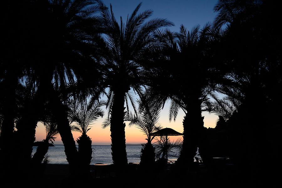 Vai - Palm-lined Beach at Sunset
