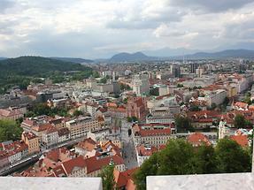 Panoramic View from the Observation Tower (1)