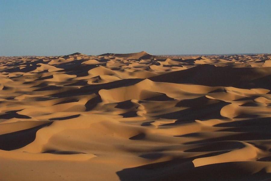 Sahara Dunes (3)