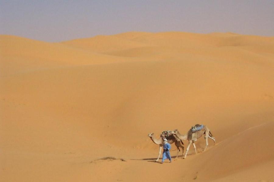 Trekking, Sahara