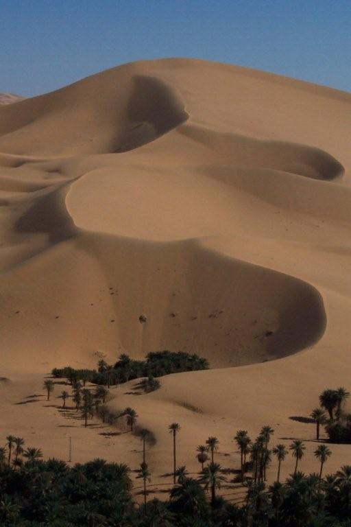 Dunes encroaching Oasis
