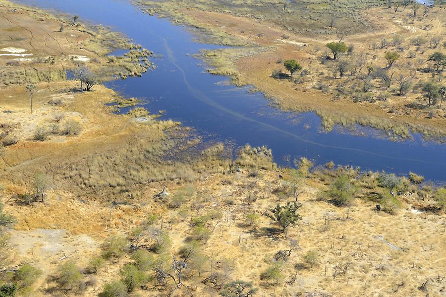 Flight over Okavango