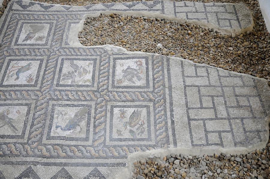 Roman Remains - Floor Mosaik