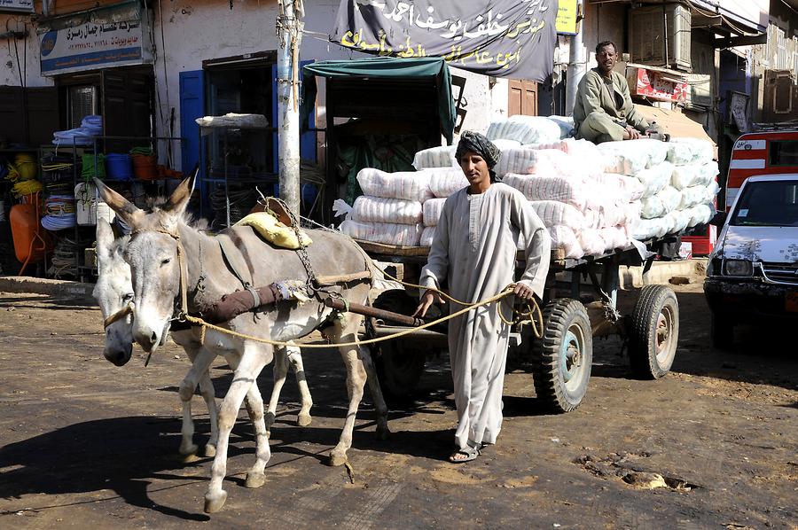 Edfu - Street Life; Donkey Cart
