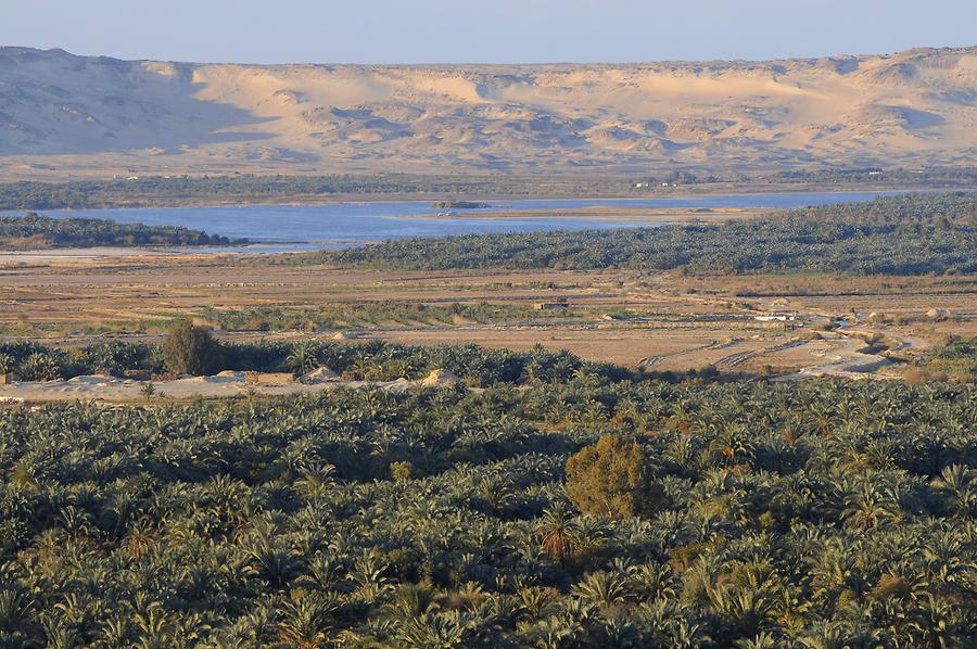 Bahariya Oasis - Panoramic View