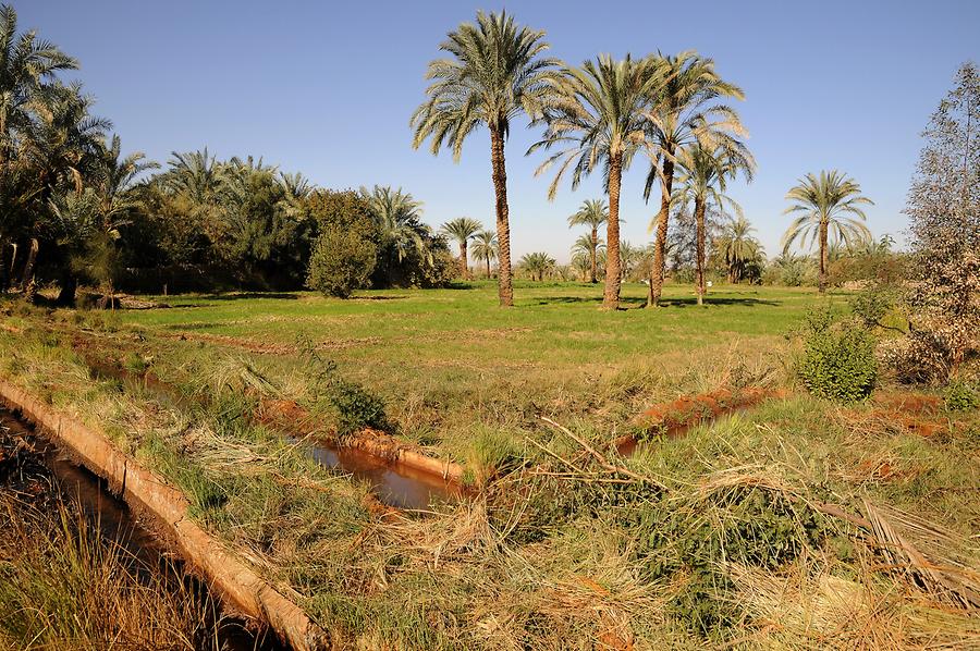 Dakhla Oasis Fields 3 Dakhla Oasis Pictures Egypt In Global 