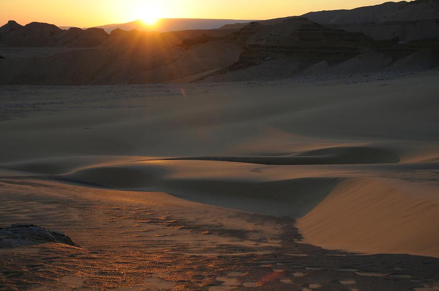 Desert near Al-Qasr at Sunset