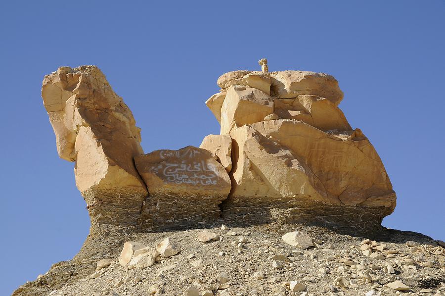 Western Desert - 'Camel'