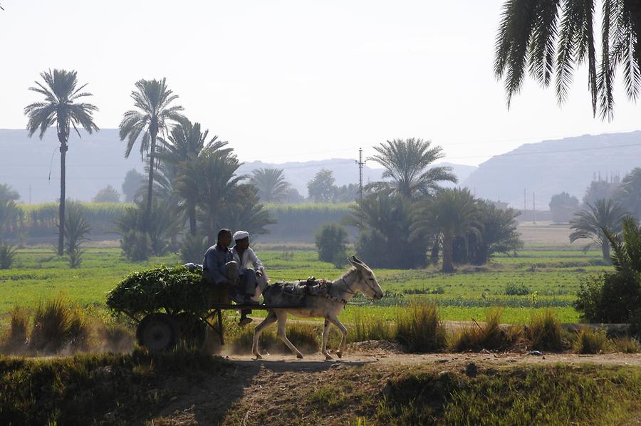 Nile Delta near Dendera