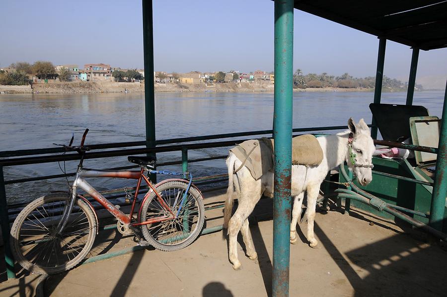 Nile Ferry to Amarna