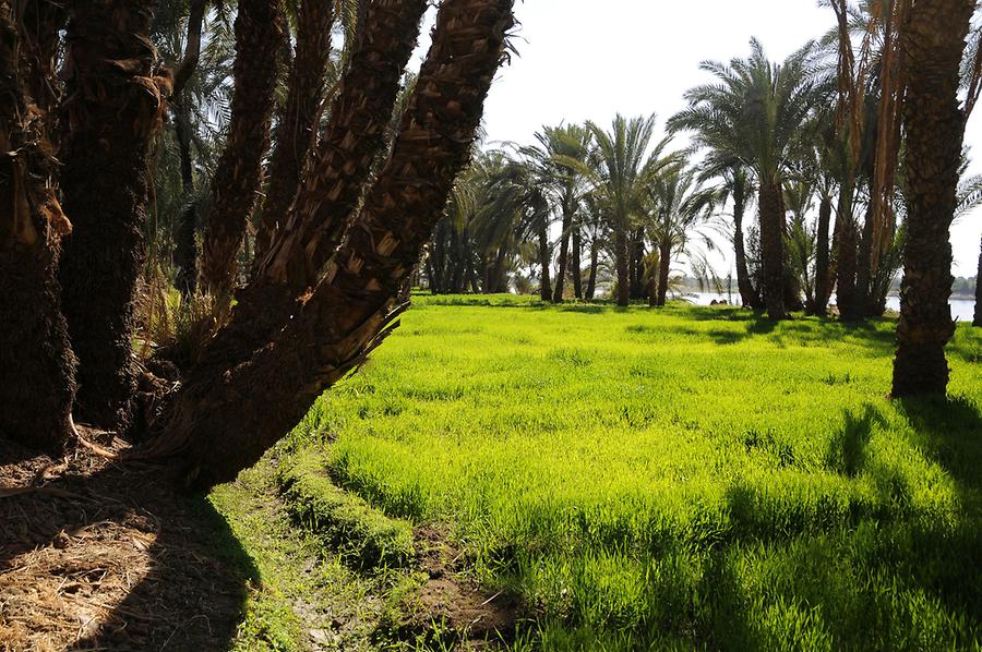 Nile Valley near Edfu