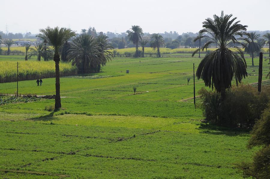 Nile Valley near Luxor
