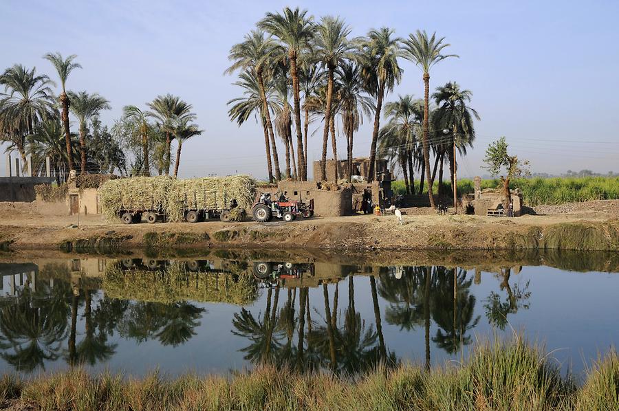 Oasis near Dendera