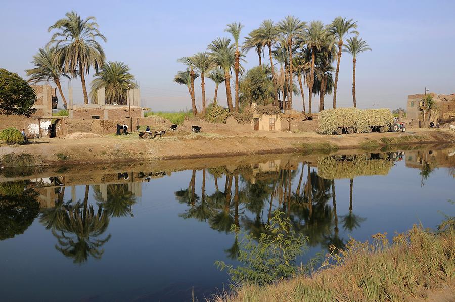 Oasis near Dendera