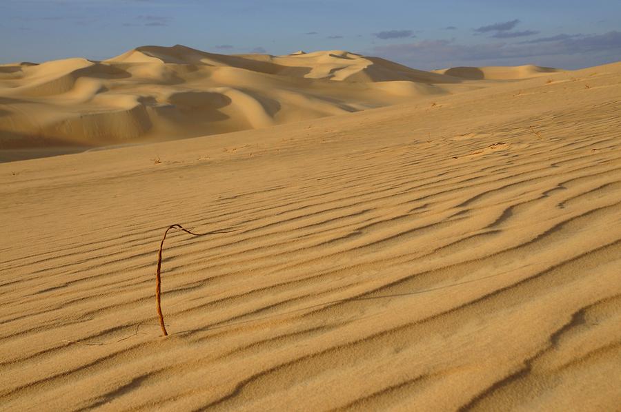 Sandy Desert near Siwa