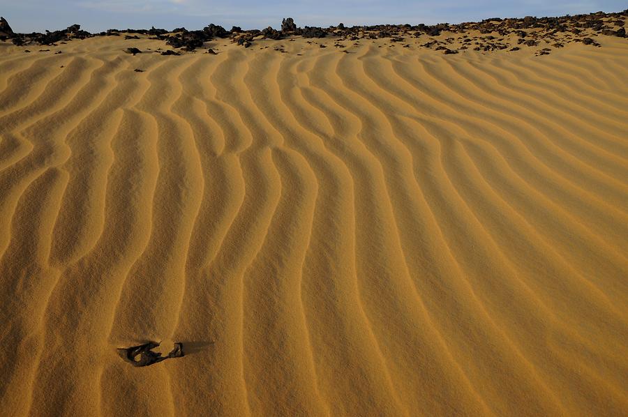 Desert near Bir Kiseiba - Ripple Marks