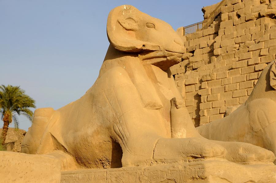 Karnak - Ram Sphinx