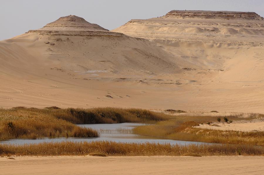 Libyan Desert near Siwa; Freshwater Lake