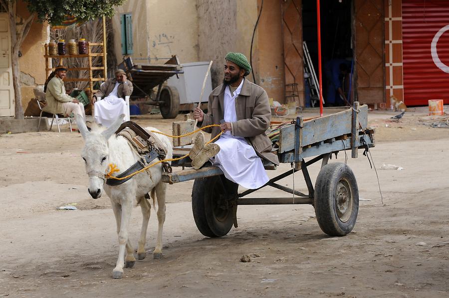 Siwa Oasis -Donkey Cart