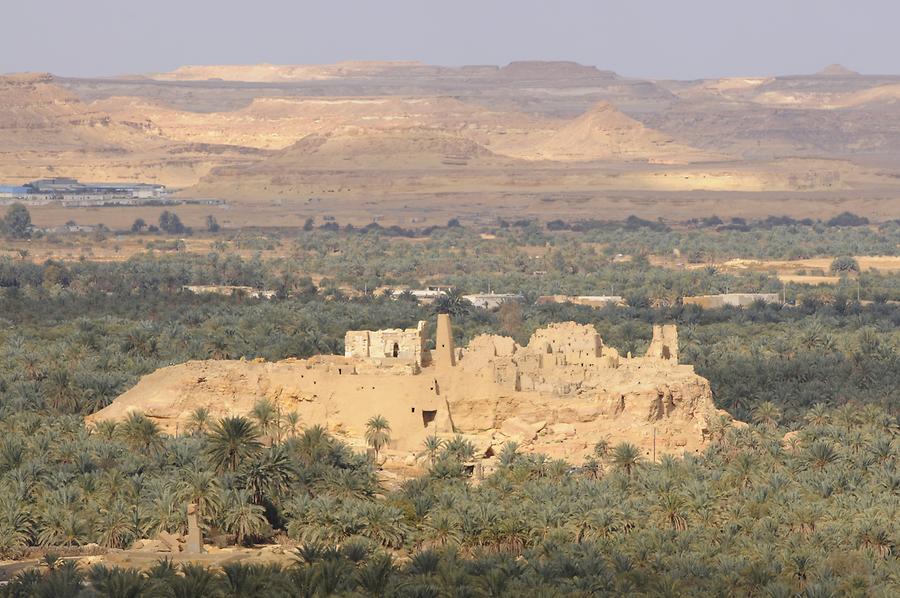 Siwa Oasis - Ruins of Aghurmi