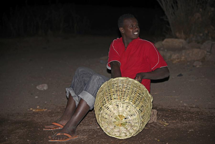 Feeding Meat to Hyenas