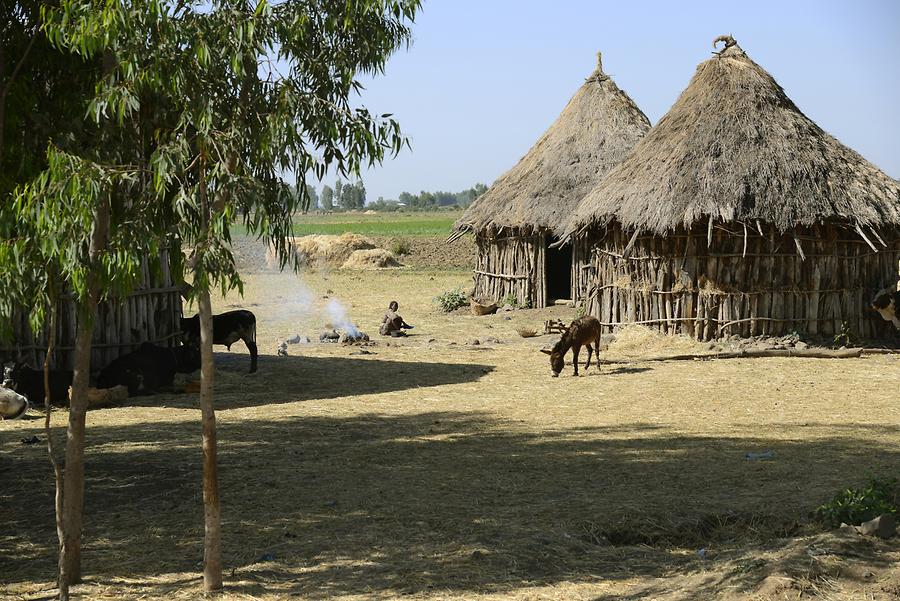 Village near Woreta