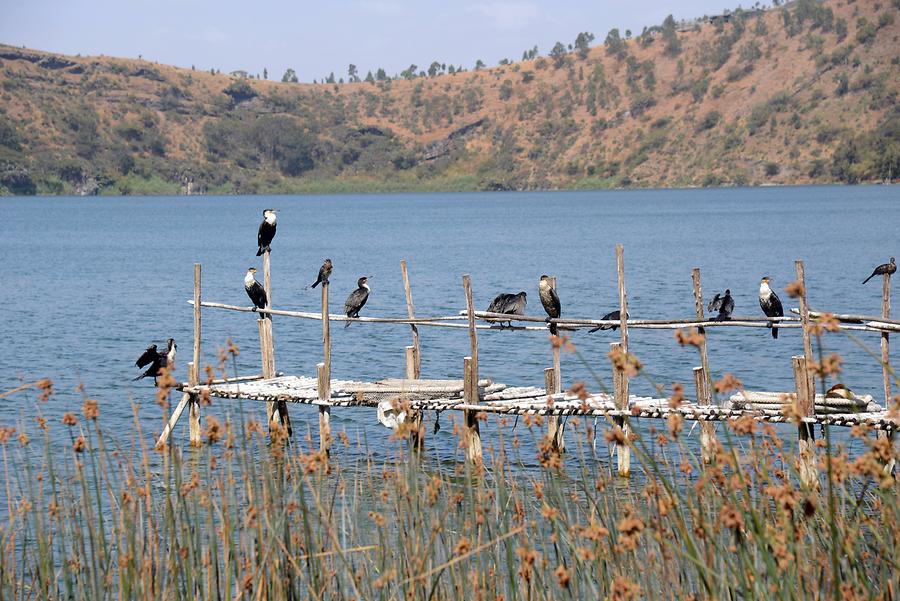 Rift Valley Rift Valley