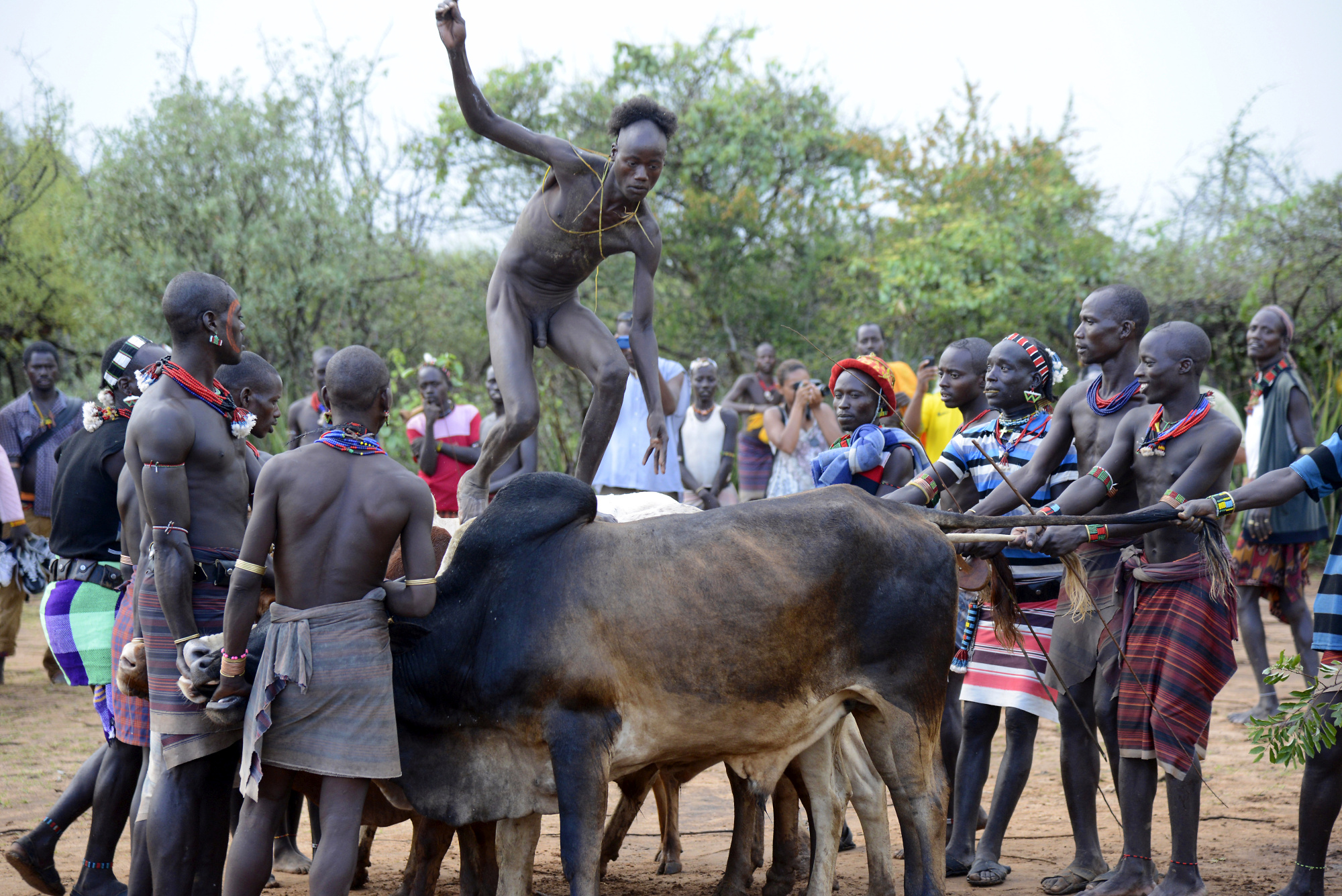 Bull Jumping Ceremony Turmi Pictures Ethiopia In Global Geography