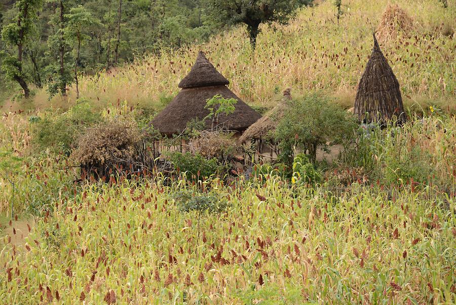 Konso Kraal