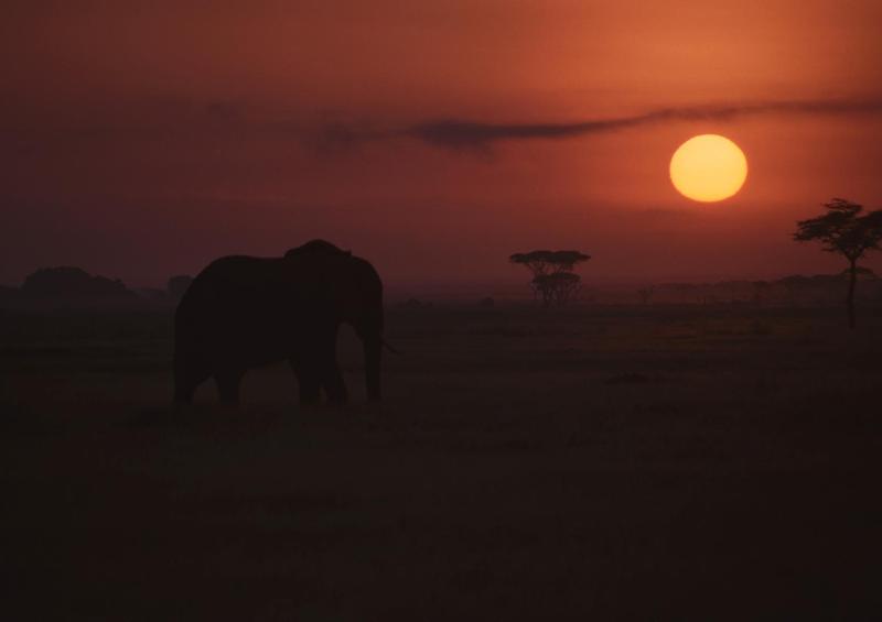 Sunset, Amboseli National Park