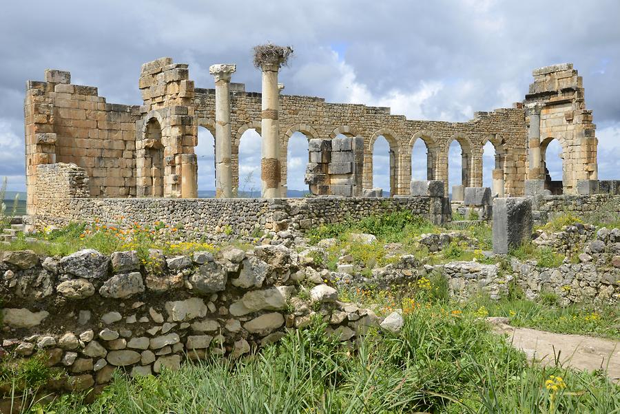 Volubilis - Basilica