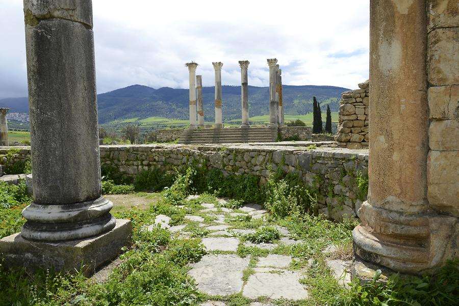 Volubilis - Statehouse