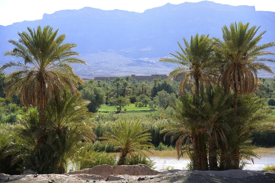 Valley of the Draa