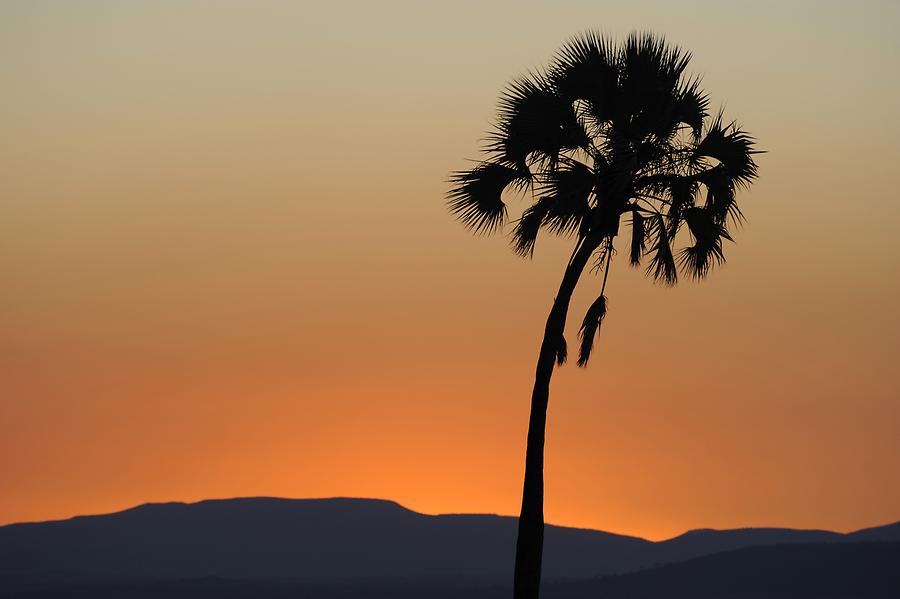 Palmwag Sunset