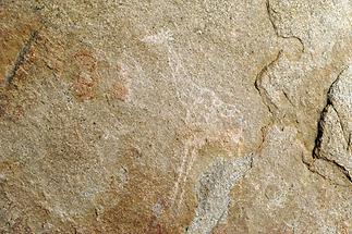 Phillips Cave Petroglyphs (3)