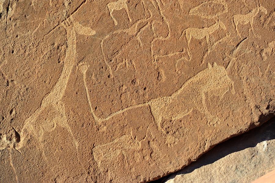 Twyfelfontein Petroglyphs