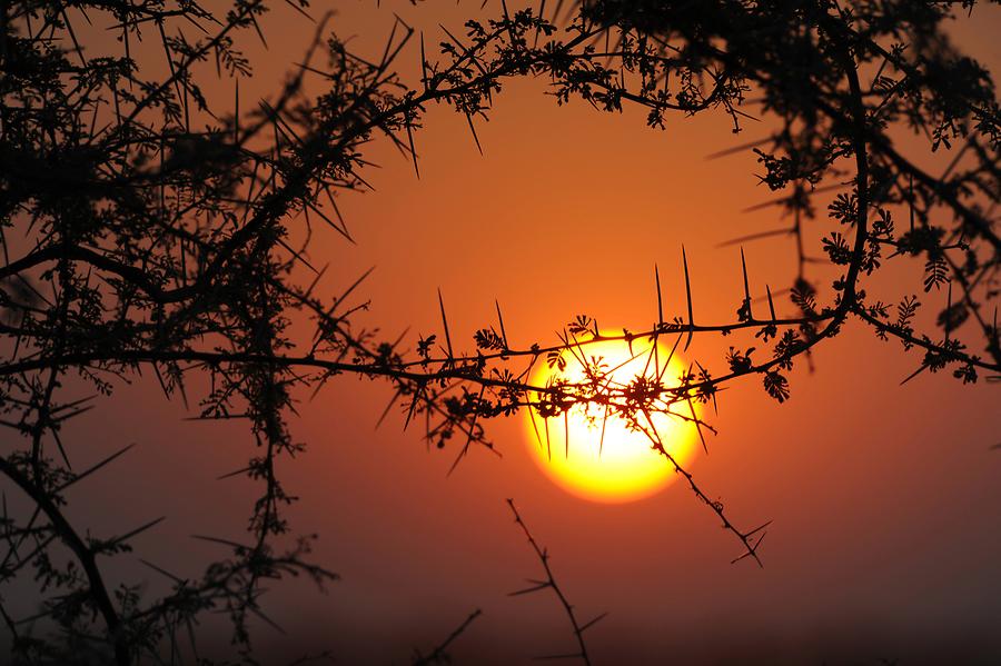 Etosha National Park Sunset
