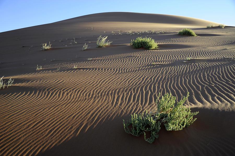Deadvlei Desert