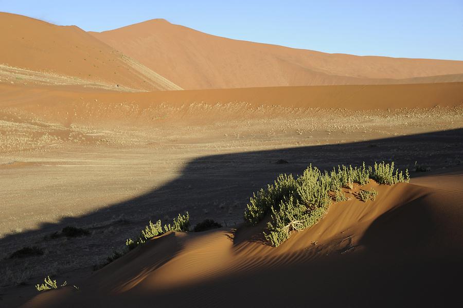 Deadvlei Desert