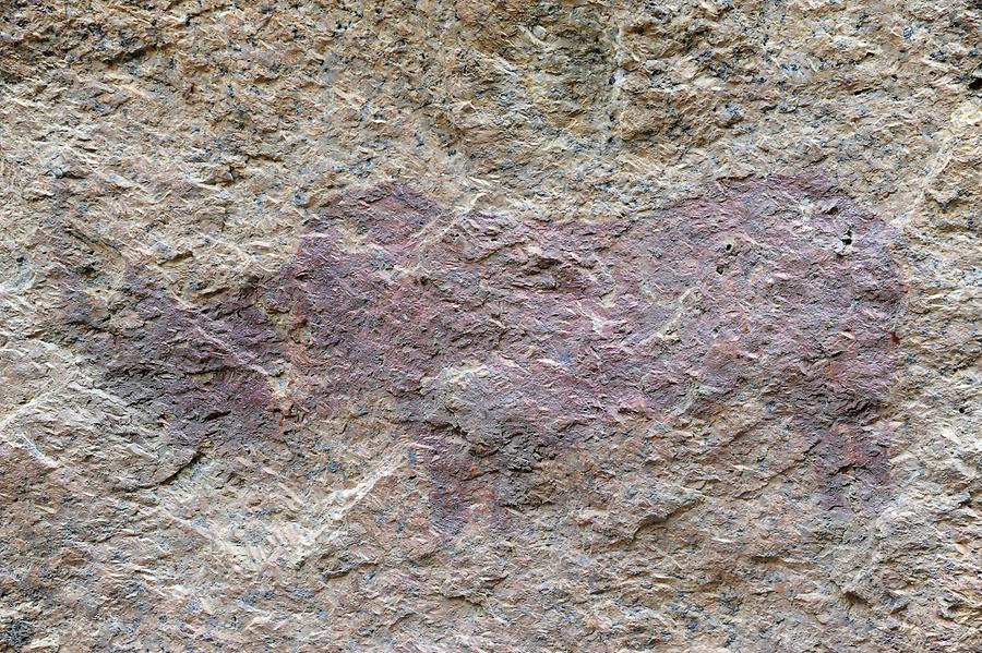 Petroglyphs Spitzkoppe