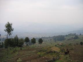 Rwanda hillside