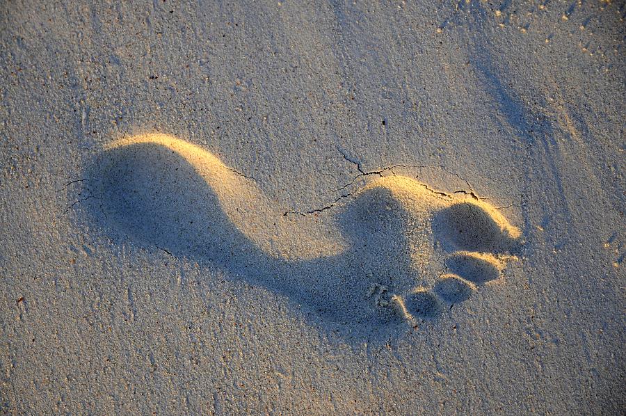 Anse Intendance - Footprint
