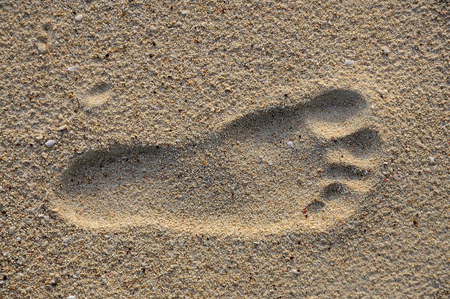 Anse Kerlan - Footprint