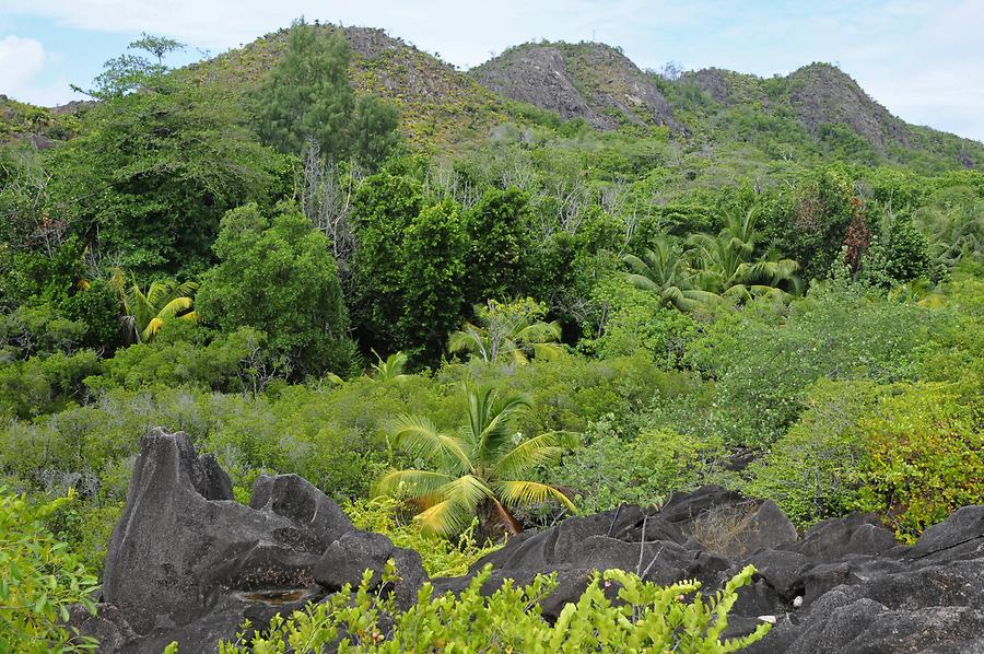 Curieuse 2 Praslin Pictures Seychelles In Global Geography