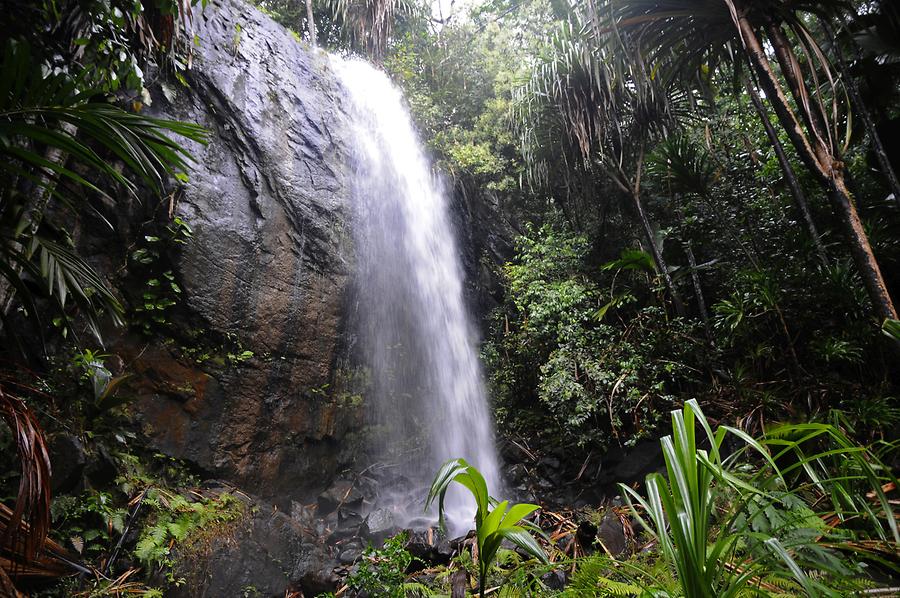 Valle de Mai - Waterfall